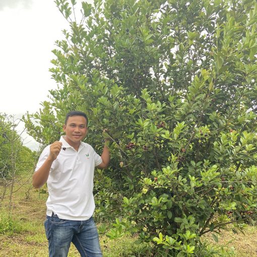 Cay-Cherry-Brazil
