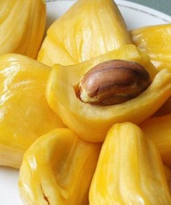 cay-giong-mit-nghe