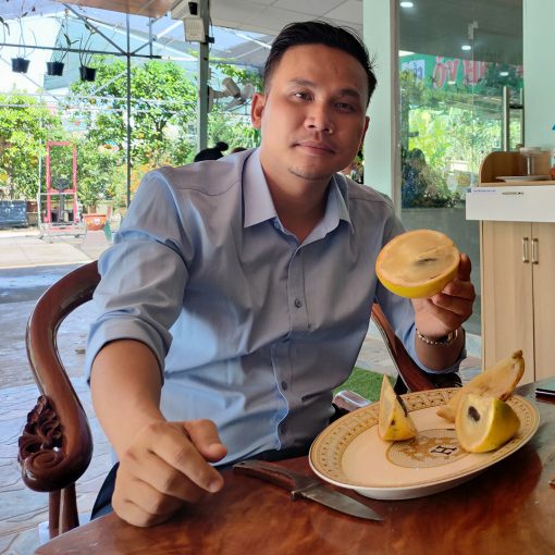 Vú sữa hoàng kim