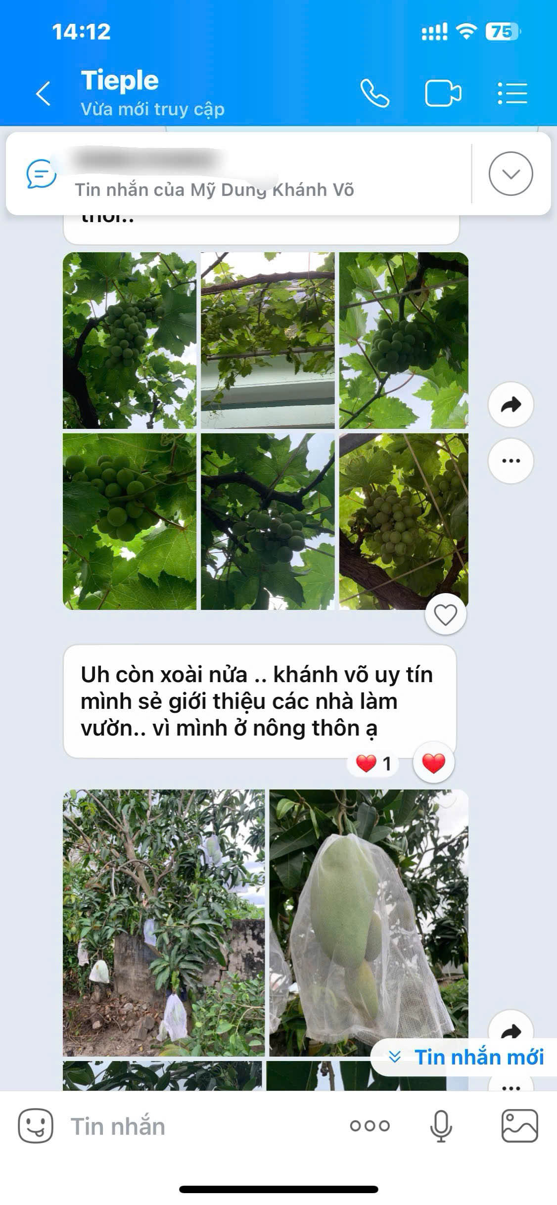 Feedback của khách hàng mua cây Nho Pháp và Xoài Thái
