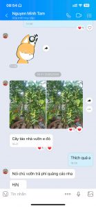 Khách hàng vui mừng chia sẻ niềm vui với nhân viên nhà vườn Khánh Võ