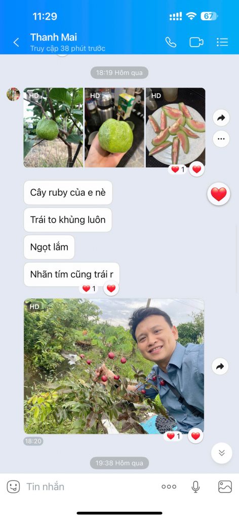 Feedback Thực Tế Từ Khách Hàng Nhà Vườn Khánh Võ