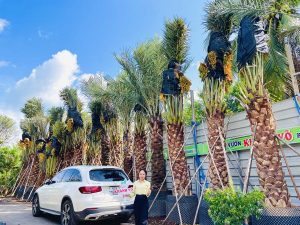 Nhà Vườn Khánh Võ