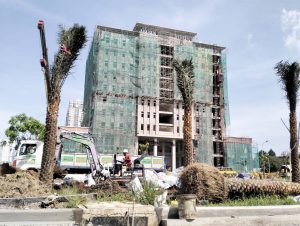 Cây Chà Là công trình