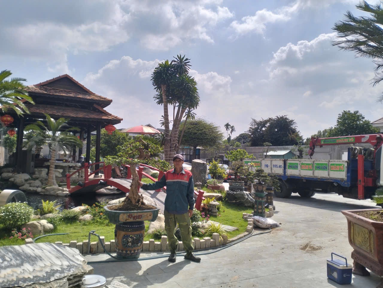 giao trồng cây tận nơi công trình nhà ở Bình Dương