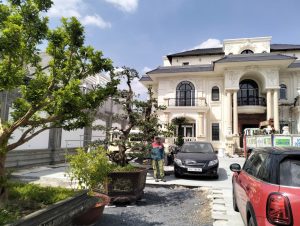 Cây trồng biệt thự