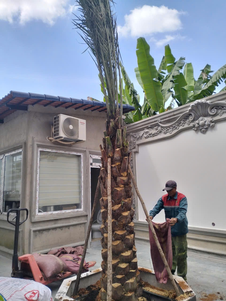 Nhà Vườn Khánh Võ trồng cây công trình