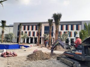 Thi công trồng cây chà là công trình tại nhà máy Tôn Nam Kim