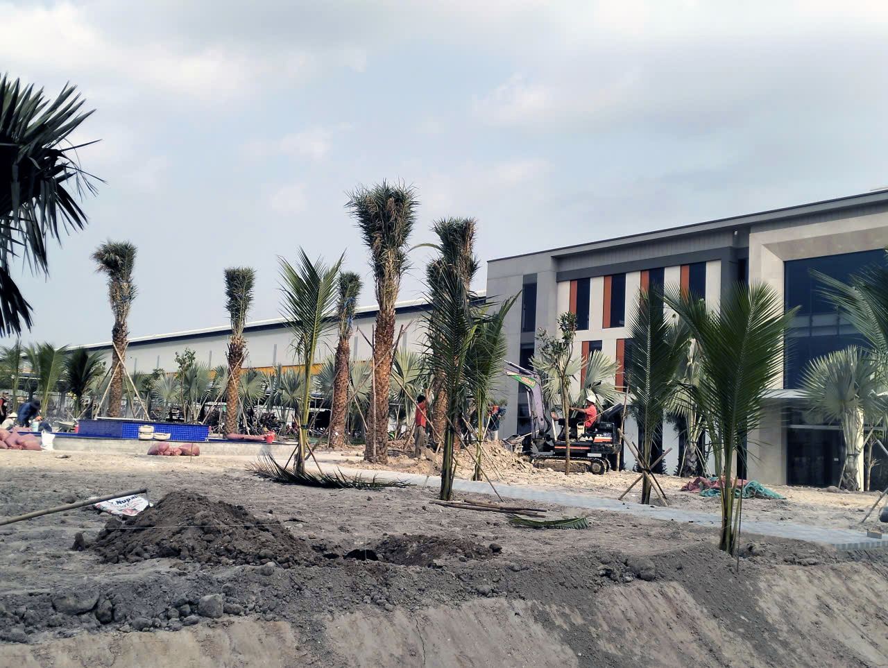 Nhà Vườn Khánh Võ trồng cây cảnh quan cho khu công nghiệp